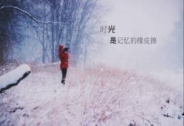 治愈系图片高清桌面壁纸下载7