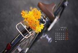 2015年11月日历壁纸复古风自行车后座花束特写