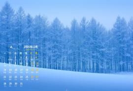 2015年12月日历冬日雪景壁纸电脑桌面