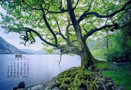 2015年12月日历高清风景壁纸图6下载