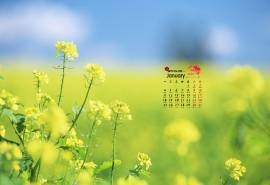 2016年1月日历精选护眼绿色桌面壁纸下载10