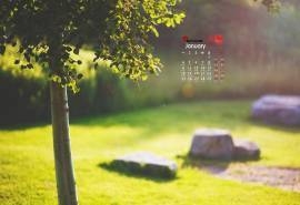 2016年1月日历精选护眼绿色桌面壁纸下载11