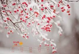 2016年1月日历冬天的雪景桌面壁纸下载