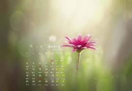 2016年1月日历简约绿色桌面壁纸下载