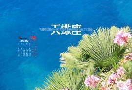2016年1月日历精选天蝎座桌面壁纸下载1