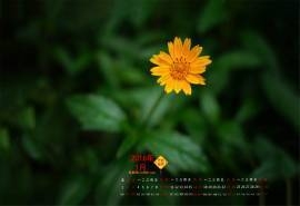 2016年1月日历护眼绿色桌面壁纸下载