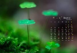 2016年1月日历精选简约绿色桌面壁纸下载