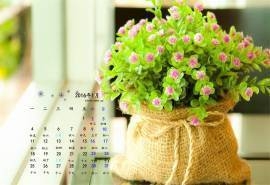 2016年1月日历温馨小清新花束桌面壁纸