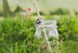 2016年1月日历高清精选绿色桌面壁纸下载5