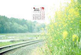 2016年1月日历高清精选绿色桌面壁纸下载1