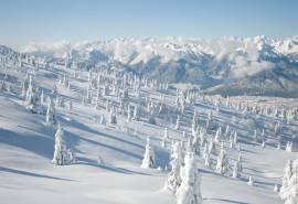 白雪皑皑的冬日雪景电脑桌面壁纸