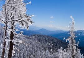 清新雪景桌面壁纸图片下载