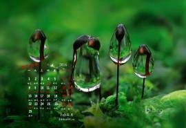 2016年2月日历超清壁纸