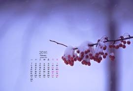 2016年2月日历好看的雪景桌面壁纸