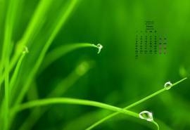 2016年2月日历清新绿色桌面壁纸图片
