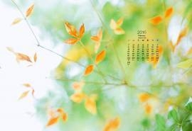 2016年2月日历唯美绿色桌面壁纸图片下载