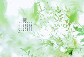 2016年2月日历唯美小清新绿色桌面壁纸图片下载
