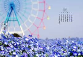 2016年2月日历摩天轮电脑桌面壁纸图片下载