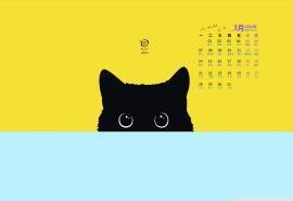2016年3月日历个性非主流创意猫咪壁纸
