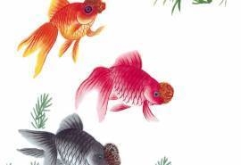 古典中国风水墨画金鱼电脑壁纸