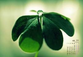 2016年4月日历绿色四叶草桌面壁纸