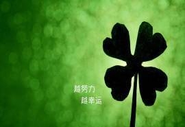 非主流语录四叶草高清桌面壁纸