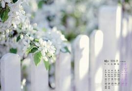 2016年5月日历栅栏边的梨花桌面壁纸