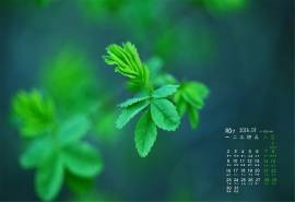 2016年5月日历绿色桌面壁纸