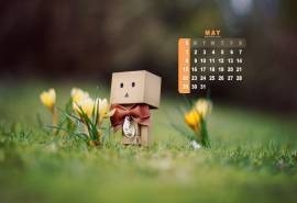 2016年5月日历纸箱人阿楞壁纸2