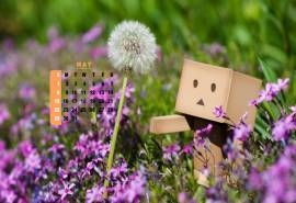 2016年5月日历纸箱人阿楞壁纸5