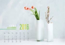 2016年6月日历牛奶瓶唯美花束电脑桌面壁纸大全