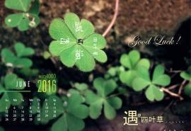 2016年6月日历小清新四叶草图片高清壁纸下载