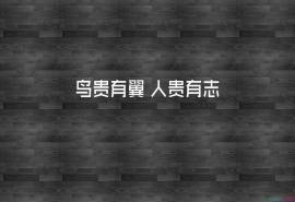 励志文字语录创意图片桌面壁纸