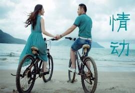 幸福情侣海边唯美浪漫壁纸图片