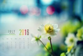 2016年7月日历