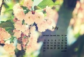 2016年7月日历唯美花卉图片电脑桌面壁纸大全