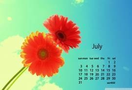 2016年7月日历唯美花卉电脑桌面壁纸大全