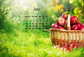 2016年7月日历夏日甜蜜水果电脑桌面壁纸大全