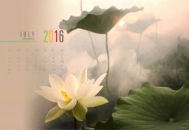2016年7月日历唯美荷花景色电脑桌面壁纸下载