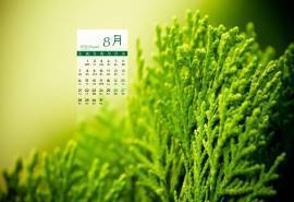 2016年8月日历养眼绿色图片第一辑