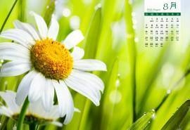 2016年8月日历感受清新自然的气息高清风景壁纸