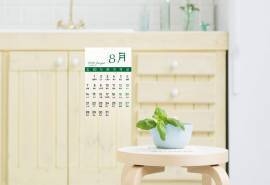 2016年8月日历清新盆栽图片壁纸