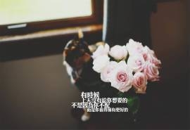唯美创意设计励志爱情文字电脑壁纸图片下载