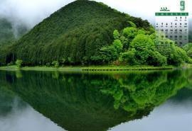 2016年9月日历绿色树林高山景色电脑图片