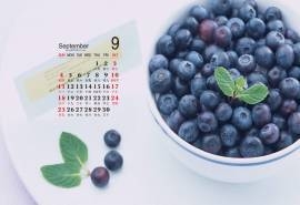 2016年9月日历蓝莓水果清新图片高清宽屏电脑桌面壁纸