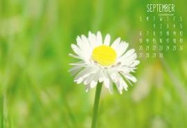 2016年9月日历绿色桌面壁纸