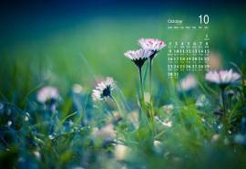 2016年10月日历简约绿色桌面壁纸