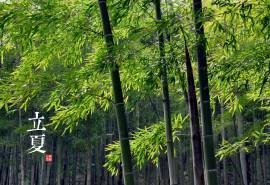 中国二十四节气4K超清壁纸（二）：最美中国人文风景壁纸