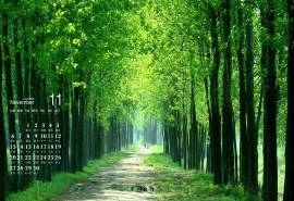 2016年11月日历绿色护眼小清新风景壁纸
