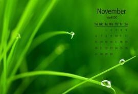2016年11月日历护眼小清新绿色风景壁纸